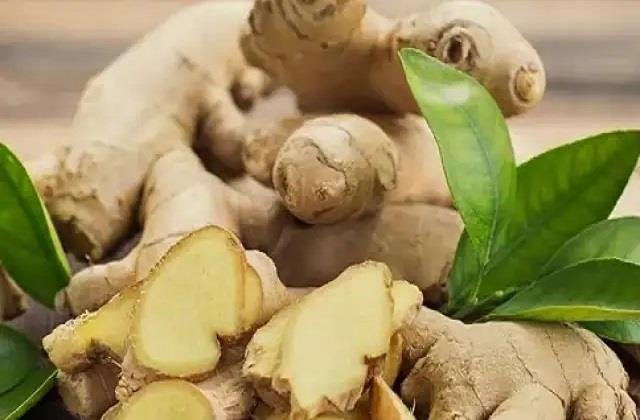 Stamina जाएगा बढ़ और दर्द होगा छूमंतर, रोजाना अदरक खाने से मिलेंगे ढेरों फायदे