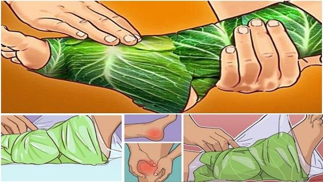 घुटनों और पैरों का इलाज है ये पत्ते, गायब हो जाएगा जोड़ और गठिए का दर्द-सूजन घुटनों और पैरों का इलाज है ये पत्ते, गायब हो जाएगा जोड़ और गठिए का दर्द-सूजन