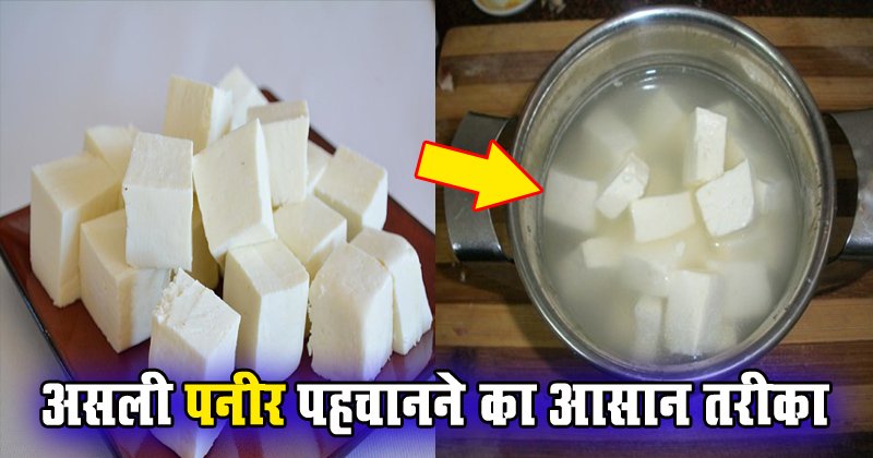 पनीर असली है या मिलावटी, मिनटों में ऐसे करें इसकी जांच, जरूर पढ़िये पनीर असली है या मिलावटी, मिनटों में ऐसे करें इसकी जांच, जरूर पढ़िये