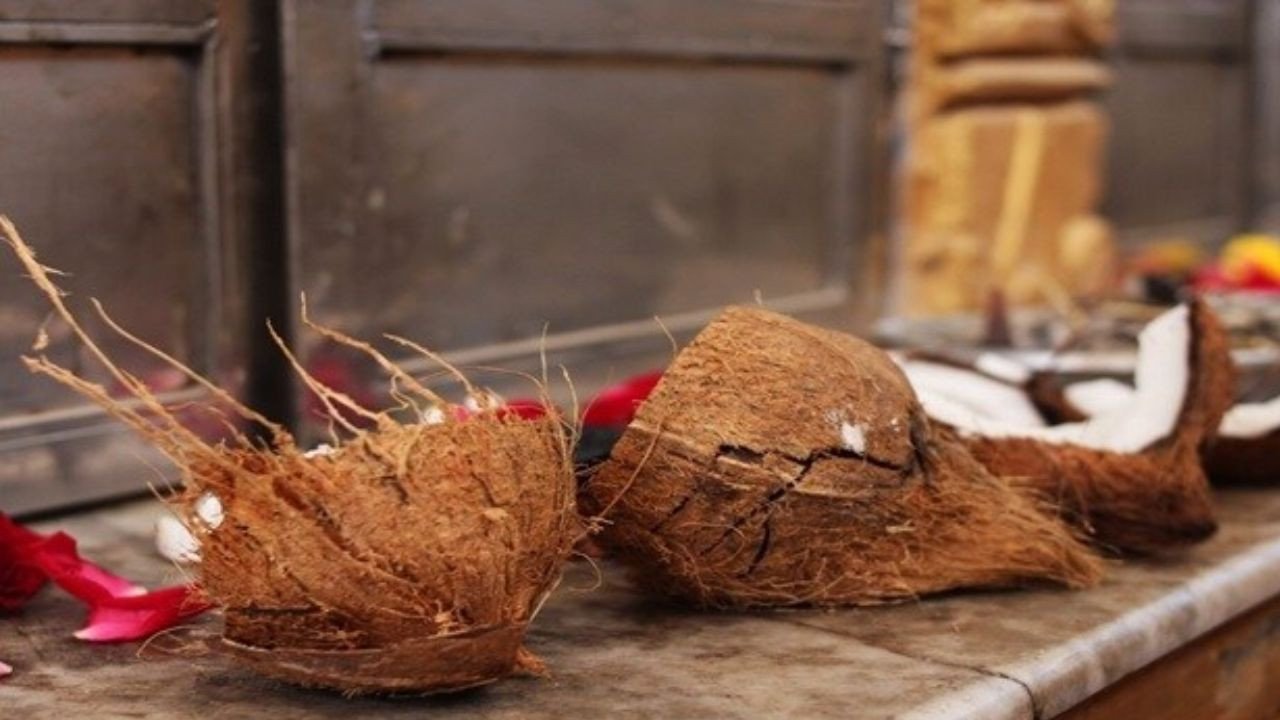 कोई भी शुभ काम करने से पहले आखिर क्यों फोड़ा जाता है नारियल? आज जान लें असली वजह कोई भी शुभ काम करने से पहले आखिर क्यों फोड़ा जाता है नारियल? आज जान लें असली वजह